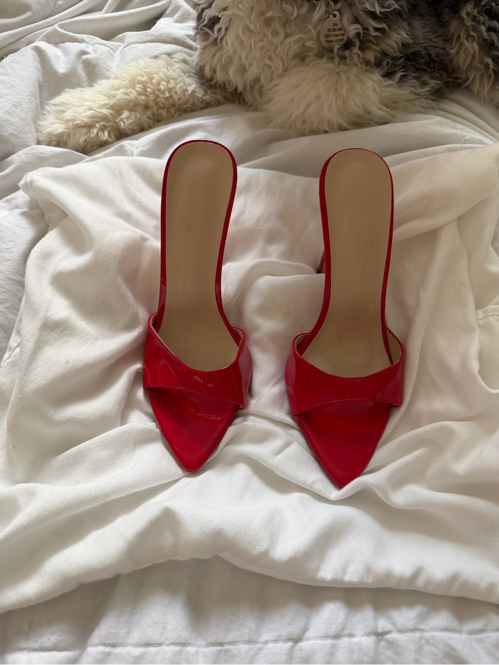 Red Pointed-Toe Mule Heels - Women's Stylish Slip-On
